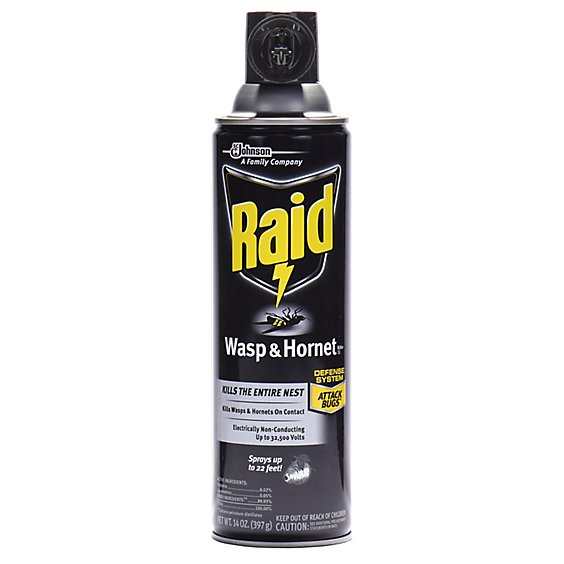 Raid Wasp & Hornet Killer Insecticide Aerosol Spray - 14 Oz