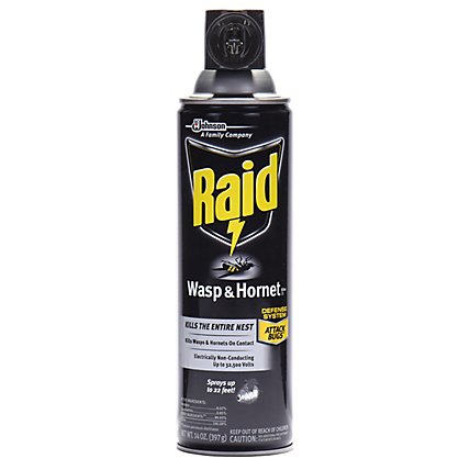 Raid Wasp & Hornet Killer Insecticide Aerosol Spray - 14 Oz - Image 1