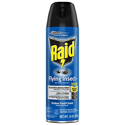 Raid Outdoor Fresh Scent Flying Insect Killer Insecticide Aerosol Spray - 15 Oz - Image 1