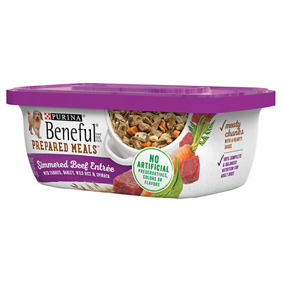 beneful wet dog food Albertsons Coupon