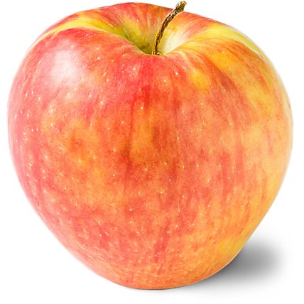 Honeycrisp Apple - Image 1