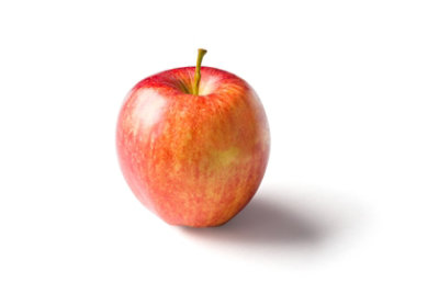 Gala Apple Extra Large - Image 1