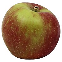 Apples Macoun - Image 1