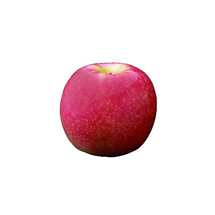 Lady Apple - Image 1