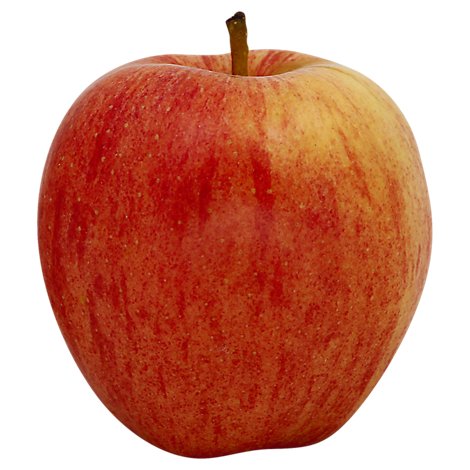 Gala Large Apple