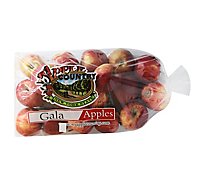 Signature Farms Gala Apples Prepacked Bag - 5 Lb