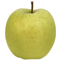 undefined - Image 1