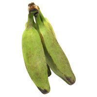 Burro Banana - Image 1