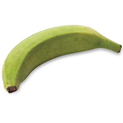 Plantain Banana - Image 1