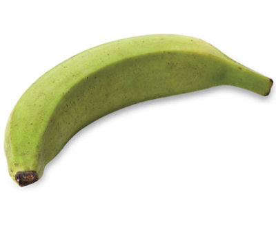 plantain bananas