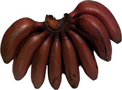 Red Banana - Image 1