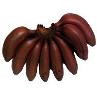 Red Banana - Image 1