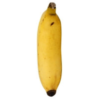 Organic Banana - Albertsons