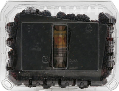 Blackberries Prepacked Fresh - 12 Oz - Image 3