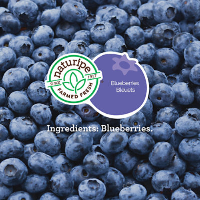 Blueberries Prepacked - 6 Oz - Image 3
