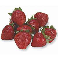 Strawberries Prepacked - 1/2 Flat - Image 1