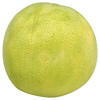 Grapefruit Pummelo - Image 1