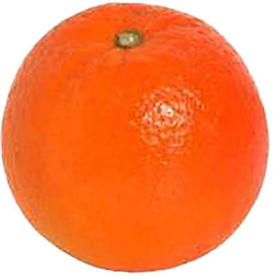 Minneola Tangelo - Image 1