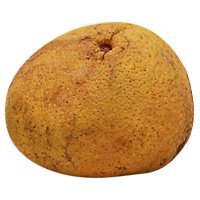 Ugli / Unique Fruit - Image 1
