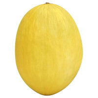 Juan Canary Melon - Image 1