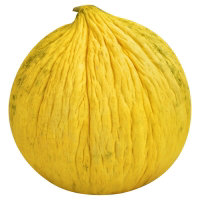 Casaba Melon