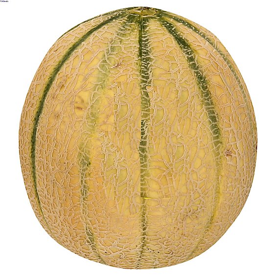 Dulcinea Tuscan Style Cantaloupe Melon