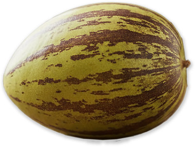 Pepino Melon - Image 1