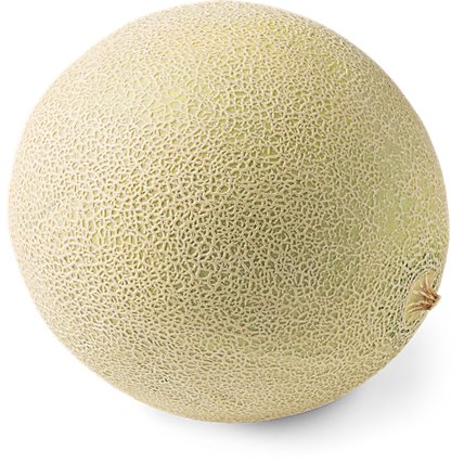 Cantaloupe Melon - Image 1