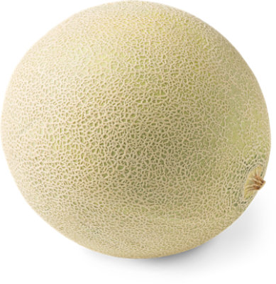 Cantaloupe Melon - Image 1