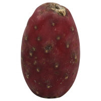 Pears Cactus Red