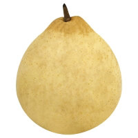 Yali Pear - Image 1