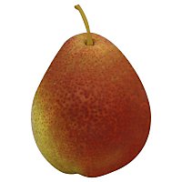Forelle Pear - Image 1