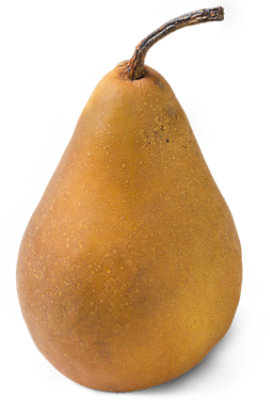 Bosc Pear - Image 1