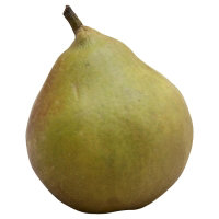 Pears Seckel