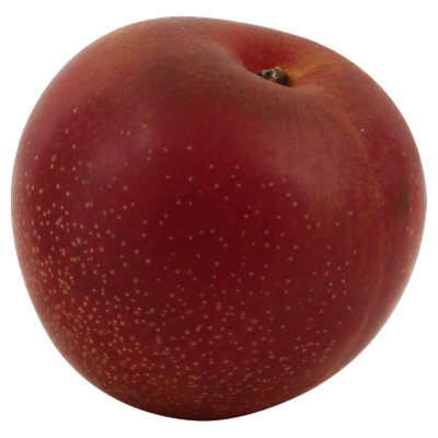 Pluot / Plumcot - Image 1