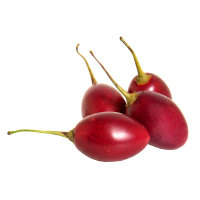 Red Tamarillo - Image 1