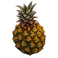 Pineapple Baby - Image 1