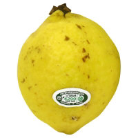 Guava - Image 1