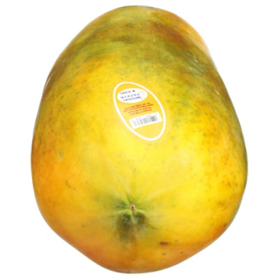 Mexican Papaya - Image 1