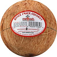 Coconut - Image 2