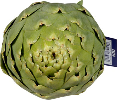 Jumbo Artichoke - Image 2