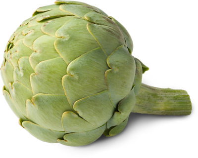 Long Stem Green Artichoke