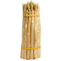 White Asparagus