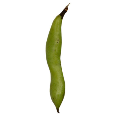 Fava Beans - 1 Lb