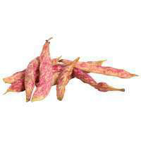 Purple Wax Beans - 0.25 Lb - Image 1