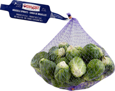 Brussel Sprouts Prepacked - 16 Oz - Image 2