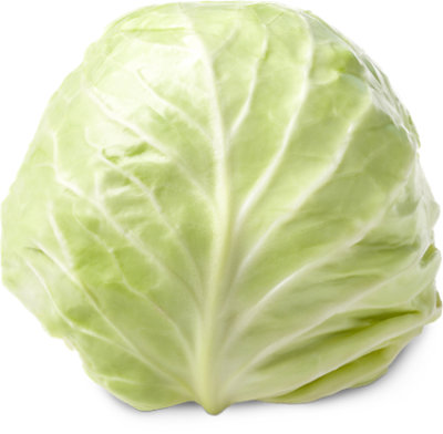 Green Cabbage