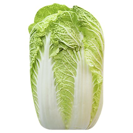Napa Cabbage - Image 1