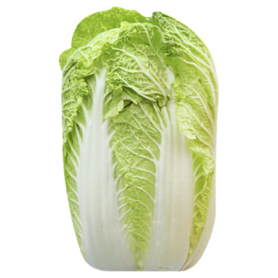 Napa Cabbage