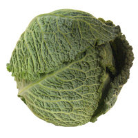 Cabbage Savoy